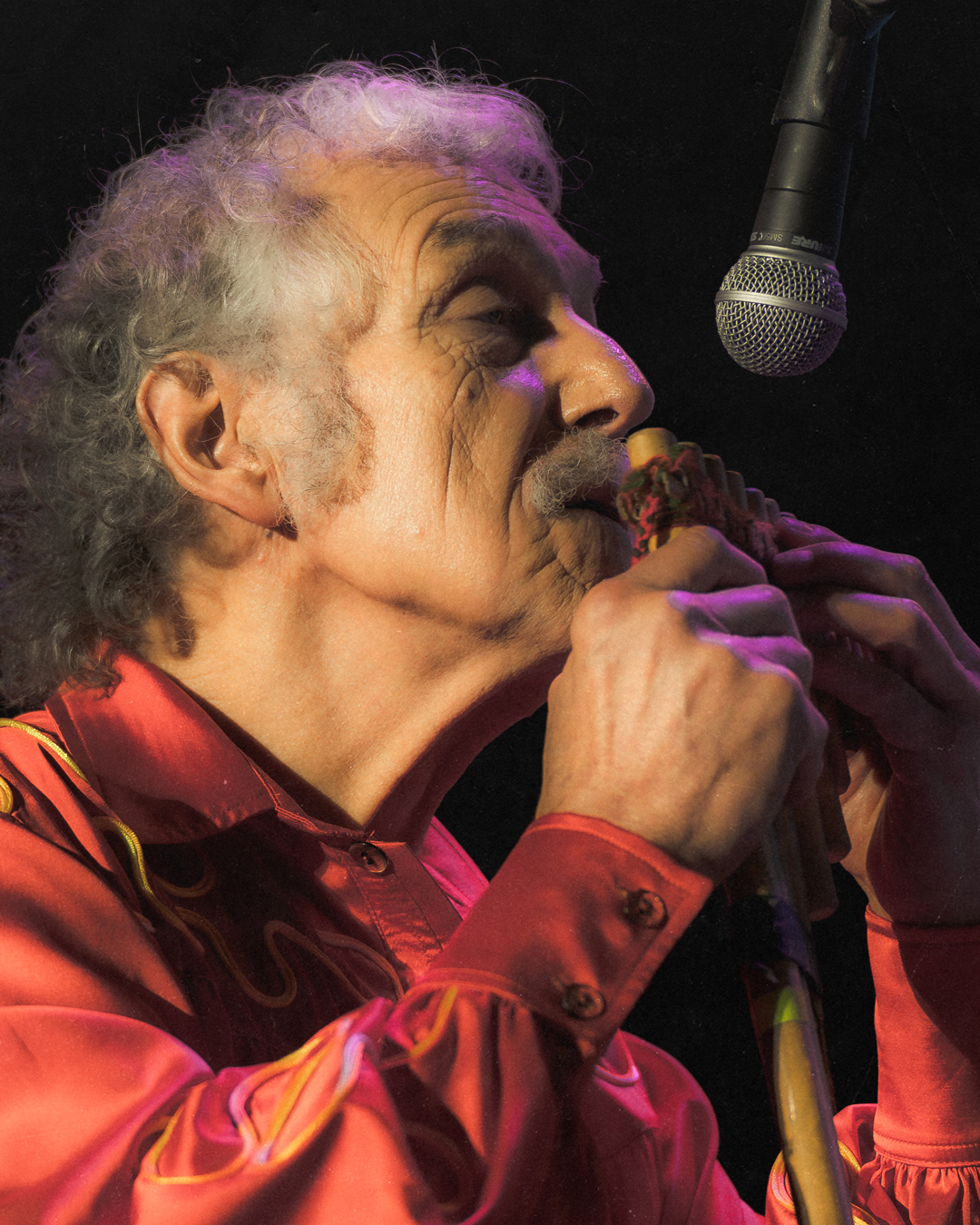 Los Jaivas Siempre